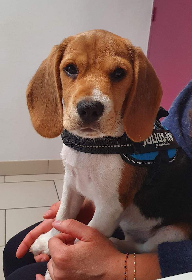 8d3b934c95bc805b2ffee1eb48668ffc.0