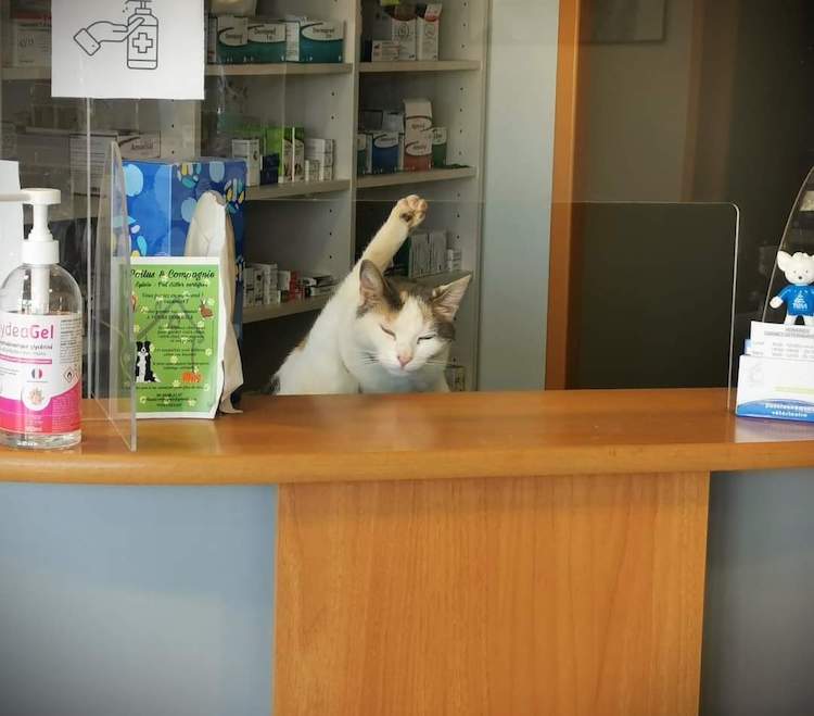 FB_IMG_1664837499657