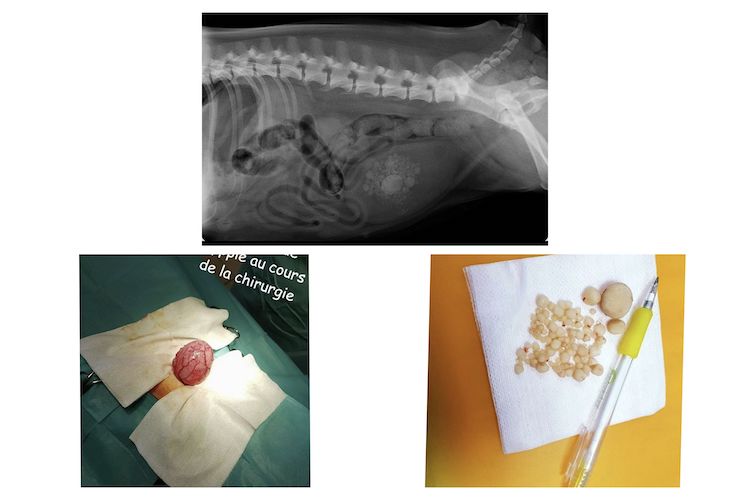 GridArt_20221009_223307532