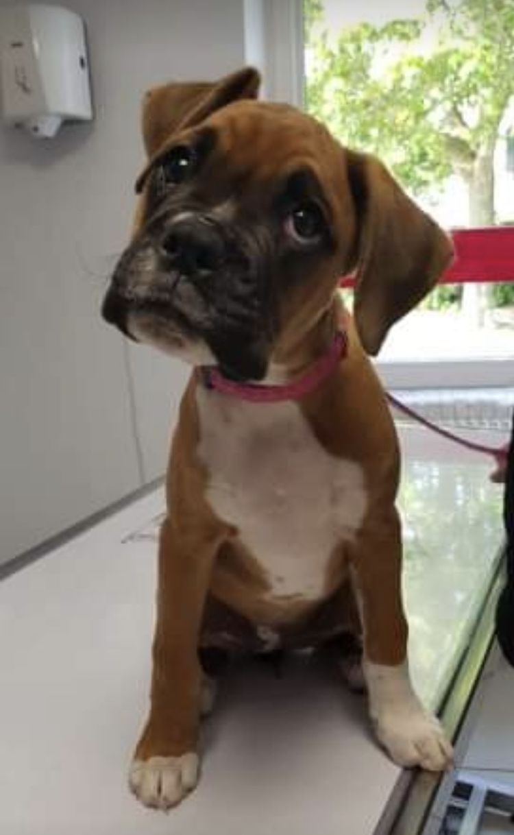 Screenshot_20221004_005720