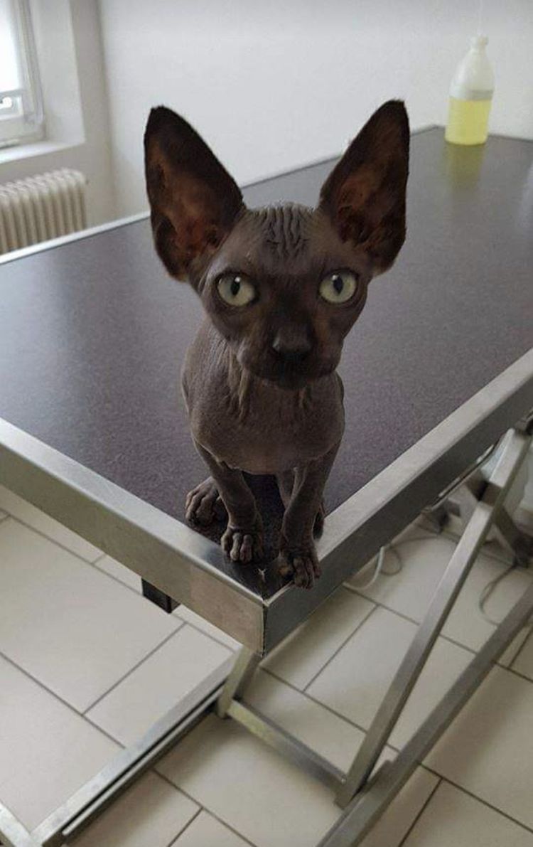 Screenshot_20221004_010049