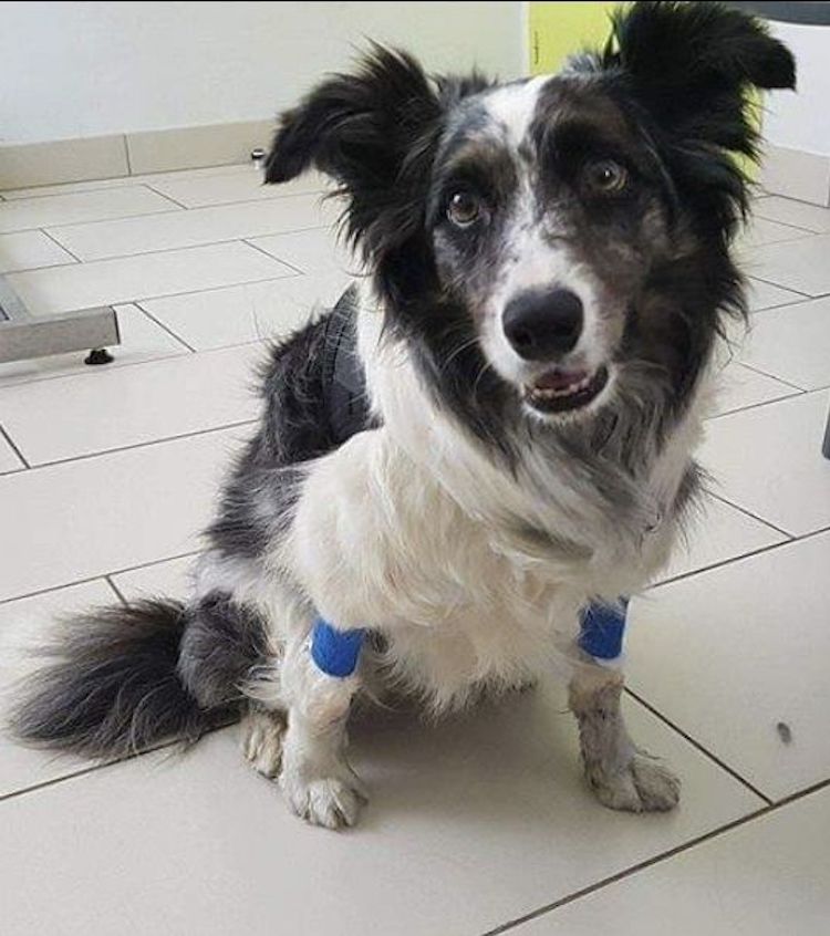 Screenshot_20221004_010134