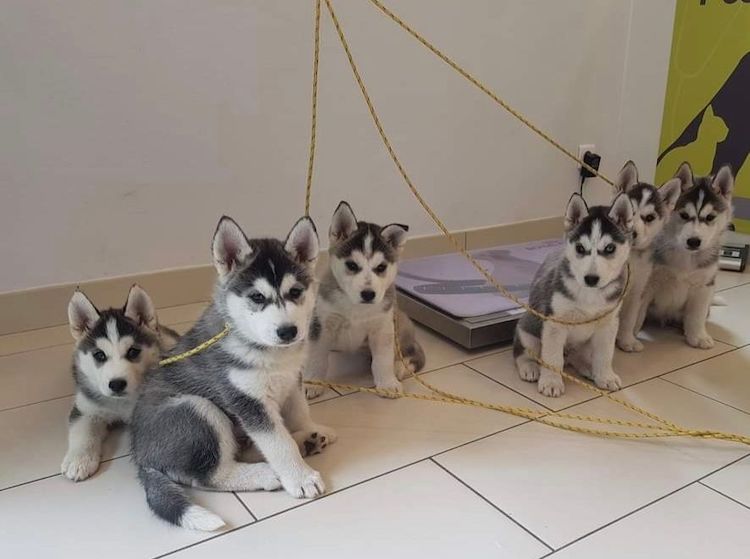 Screenshot_20221009-222156_Facebook