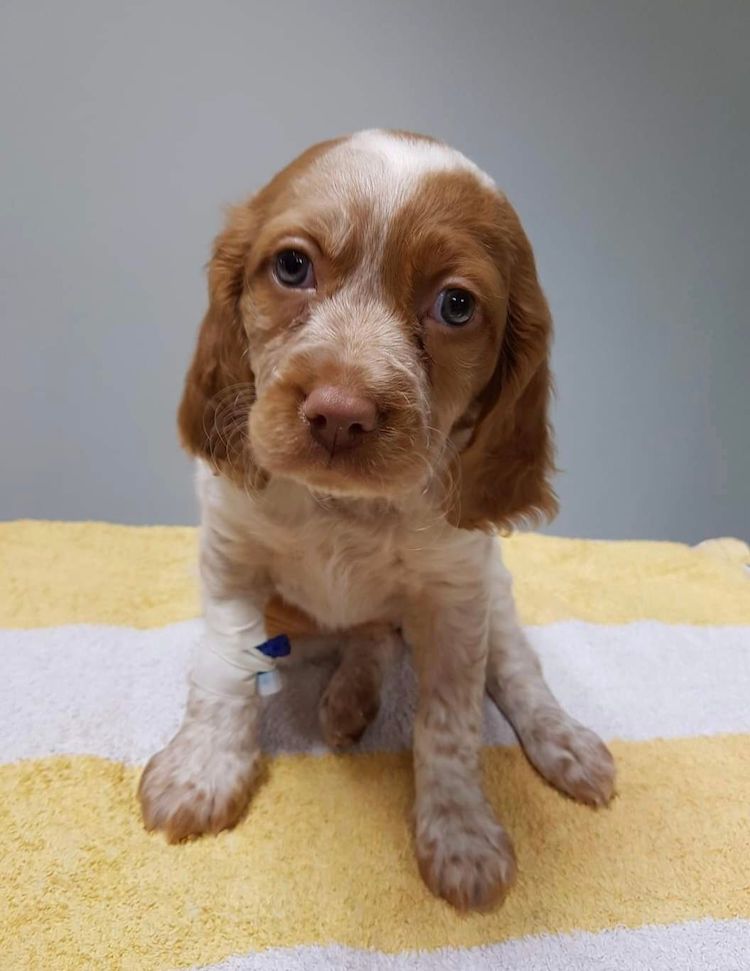 Screenshot_20221009-222254_Facebook