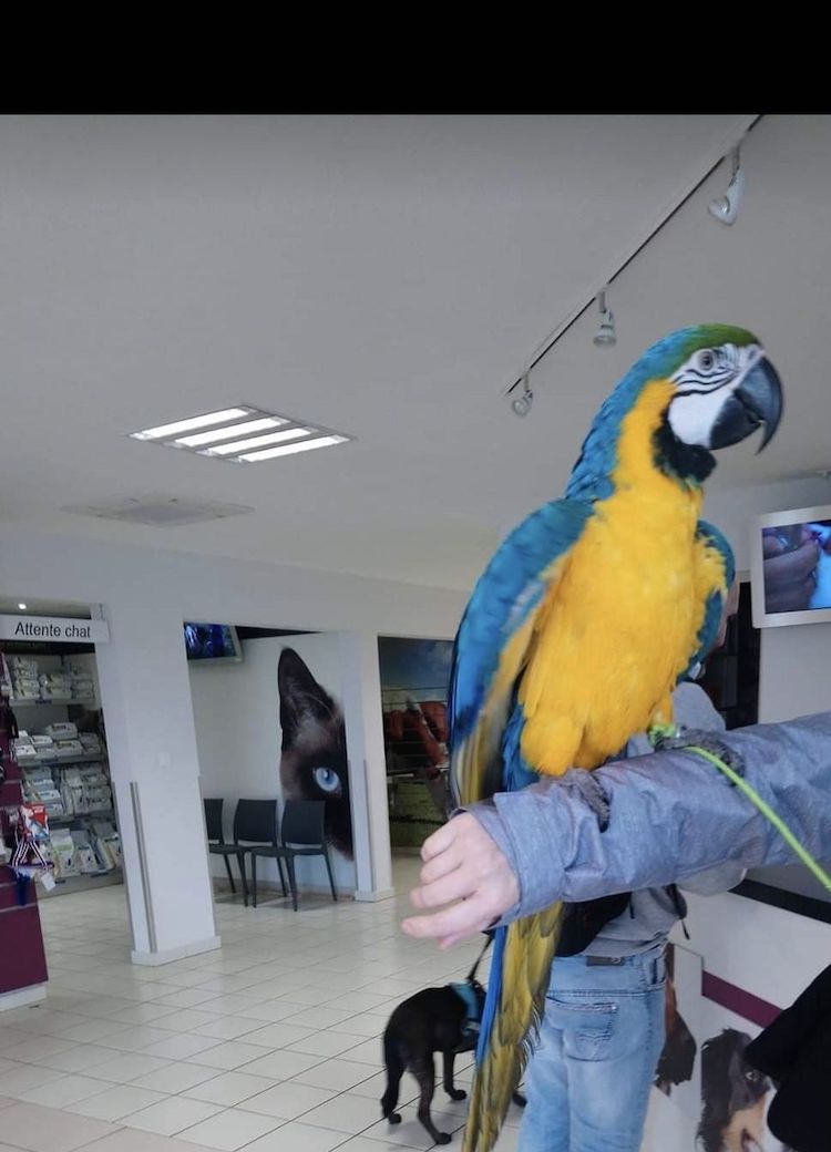 Screenshot_20221009_221158