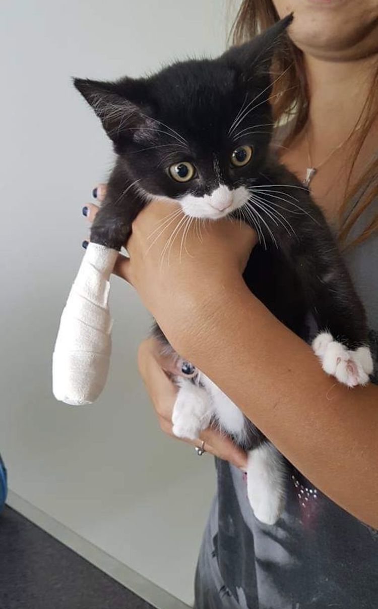 Screenshot_20221009_221356