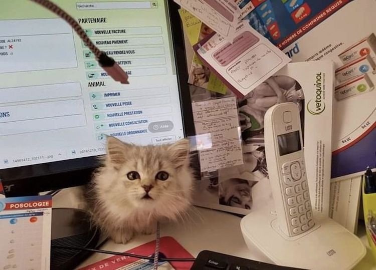 Screenshot_20221009_221946