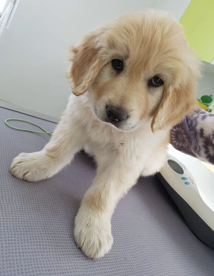 Screenshot_20221009_222042