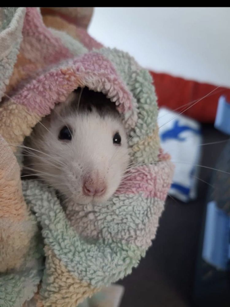 Screenshot_20230108_121438_Facebook