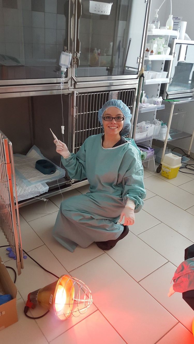 20150909_190002-e1476734304694