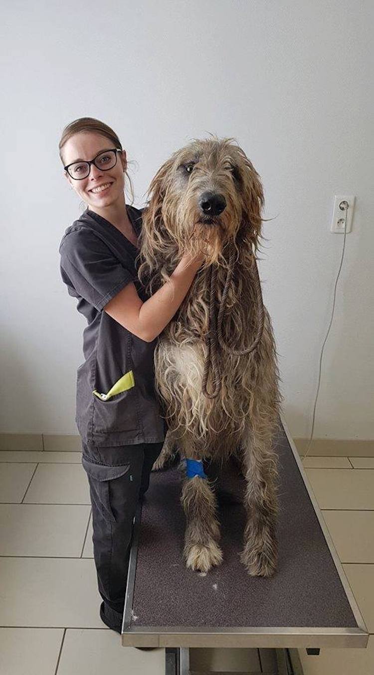 35144960_1975774259099621_388943858844565504_n