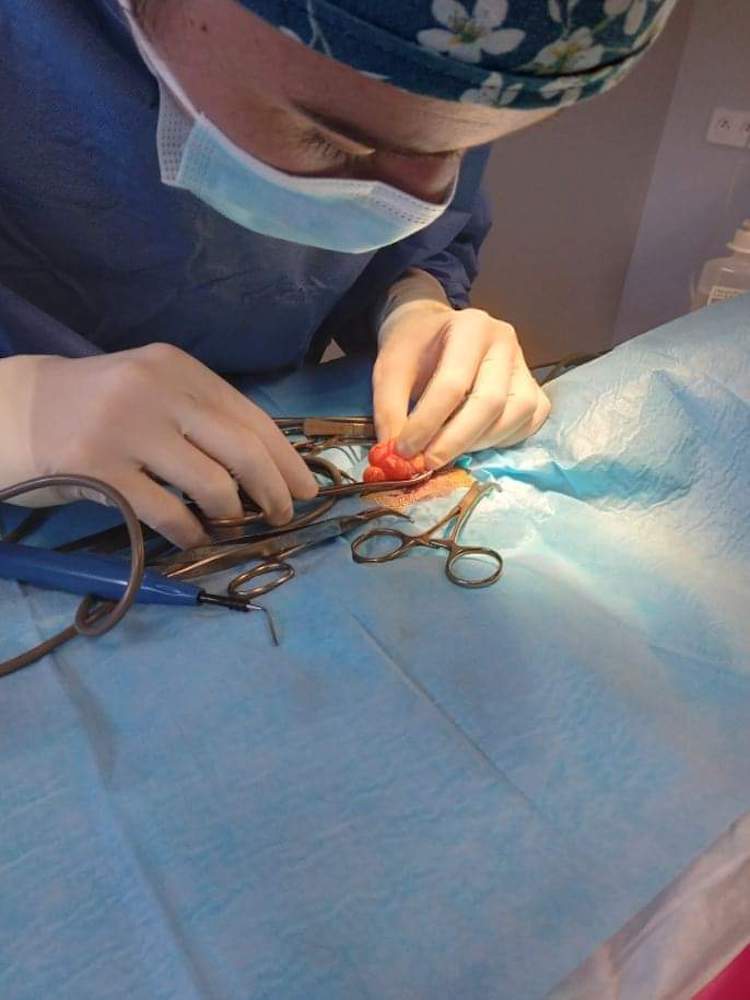 FB_IMG_1664837619403