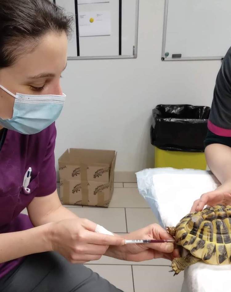 FB_IMG_1665317473324