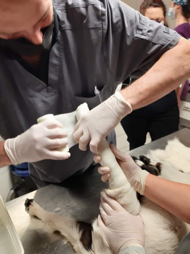 FB_IMG_1665317494533