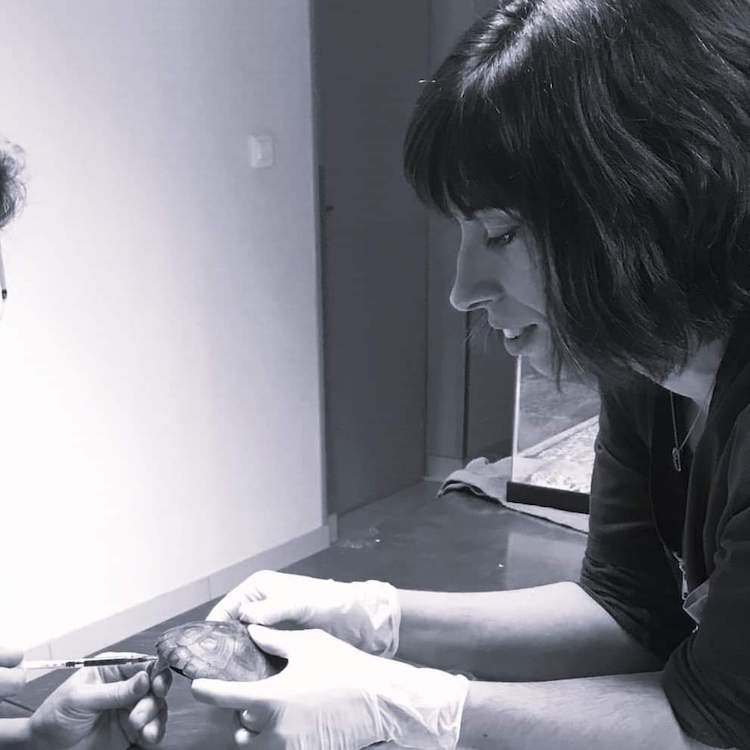 FB_IMG_1673176432818