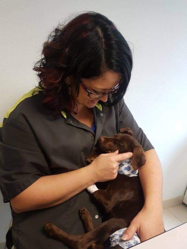 FB_IMG_1673176882831