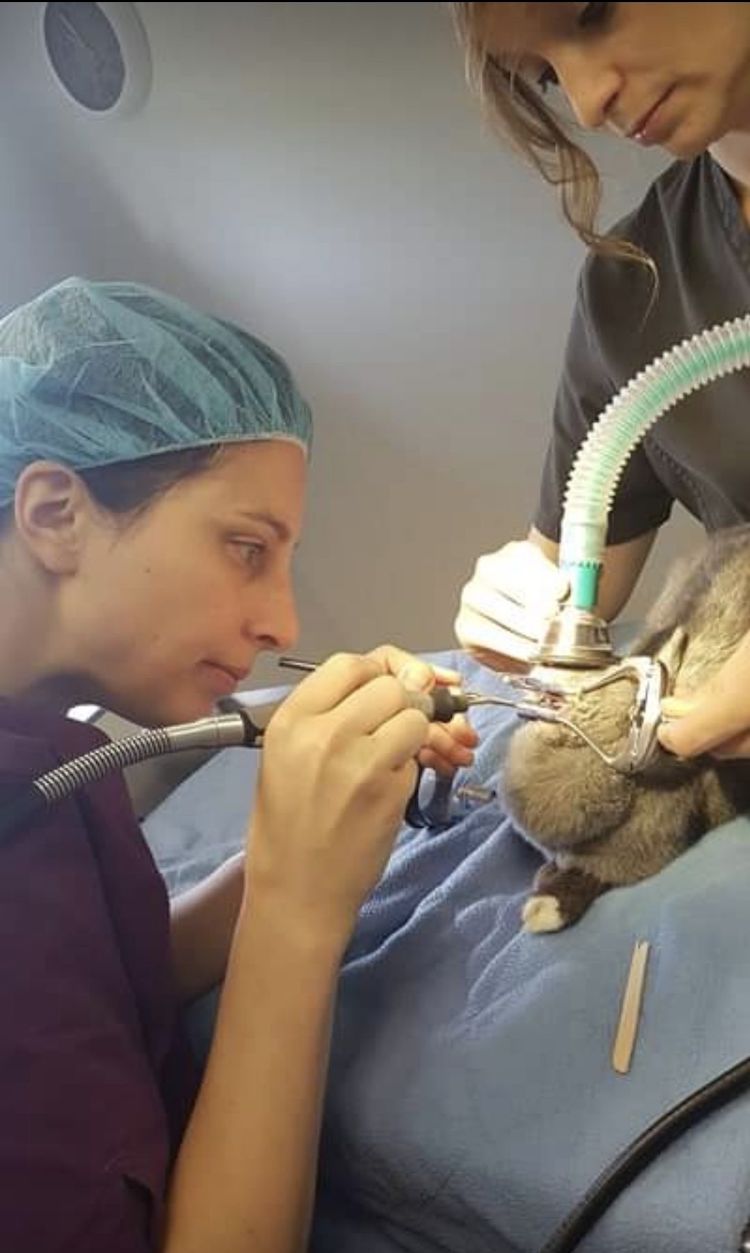 Screenshot_20221004_005754