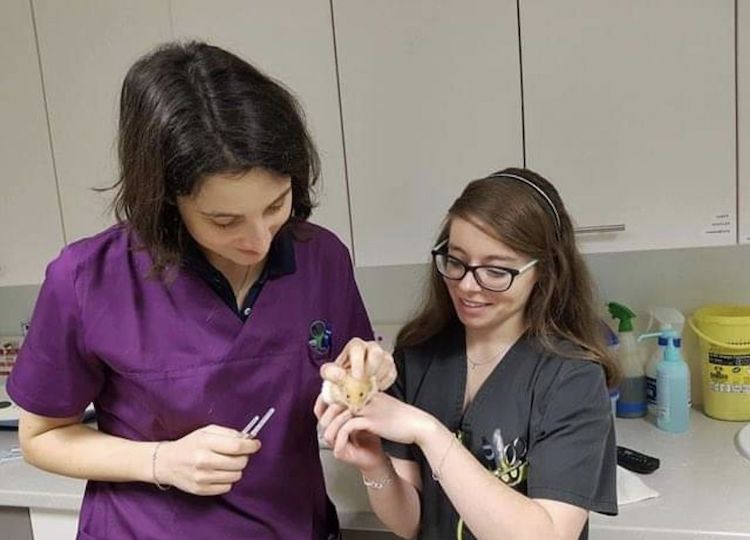 Screenshot_20221004_010455