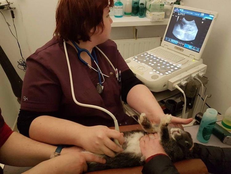 Screenshot_20221009-222243_Facebook