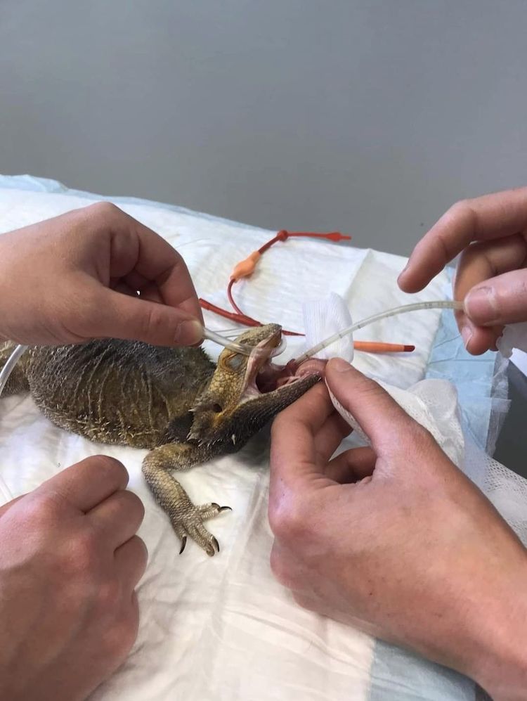 Screenshot_20230108_122256_Facebook