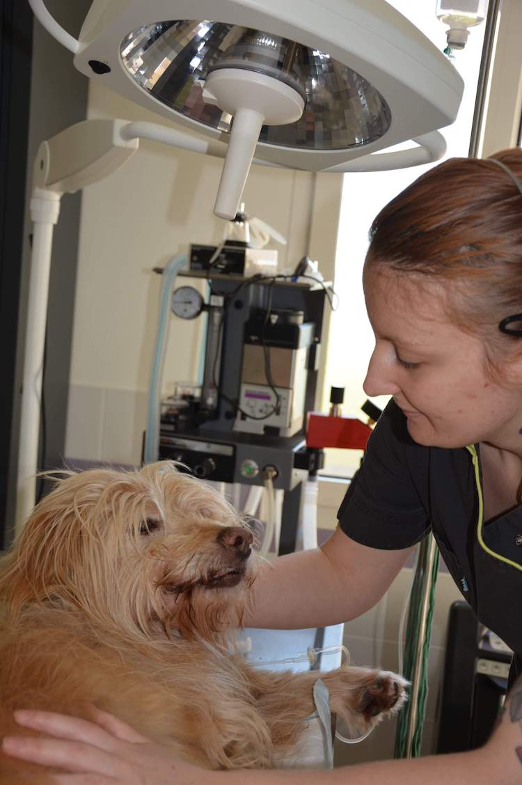 d31c11afe4d32b821295f37784ce5bc2.0